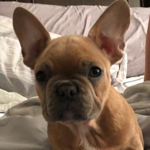 Meet your Posher, Wickham